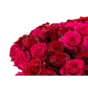 Bouquet of Ecuadorian roses